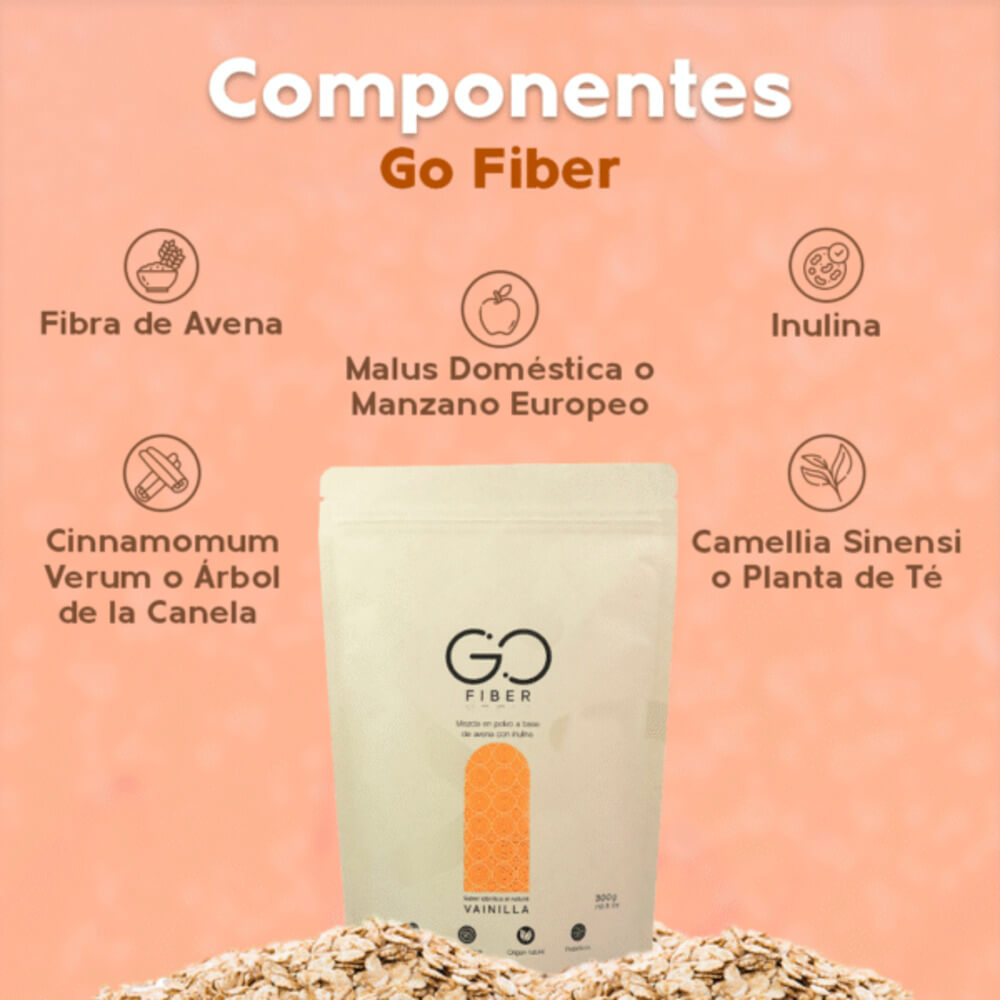 Go Fiber